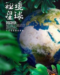 电磁式煤气安全快速切断阀、限位开关、信号反馈、防爆电磁式煤气安全切断阀