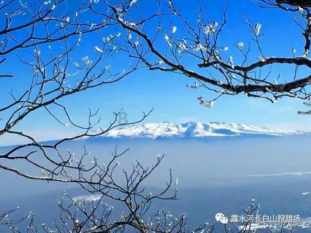 老外评选亚洲“最好吃”面条，韩国炸酱面上榜，中国这碗面排第一