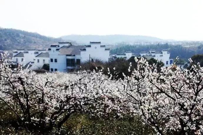 文旅项目规划师怎么考?有什么要求?行业前景如何?
