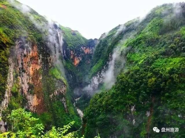 拯救蝙蝠家族