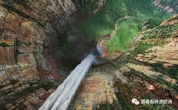 龙大美食：目前能繁母猪存栏量还处于高位，2024年生猪供给压力仍较大