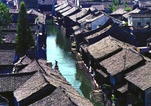 王福重大谈中医无用论,怨念如此深,有何缘由?