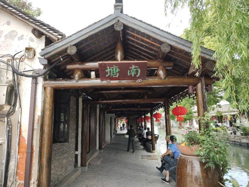 破碎的动物图形