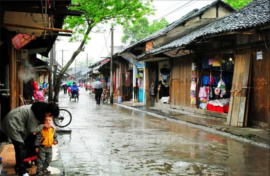 春雨直播app