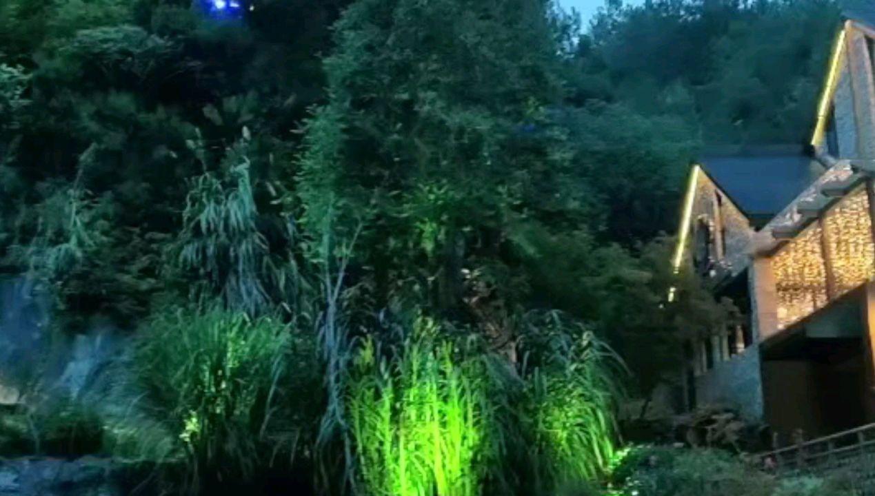 逃离马儿森林